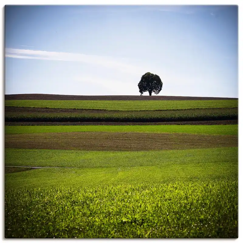 Der Baum U1SJ Wandbild Preiswert