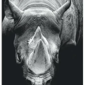 Das Nashorn U2JJ Wandbild Schnäppchen