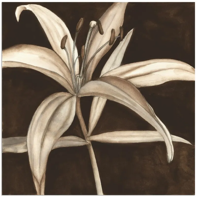 Sepia Lilie II T1MB Wandbild Echt