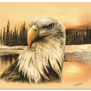 Weißkopfseeadler handgemalt S8TA Wandbild Kostenfreie Lieferung