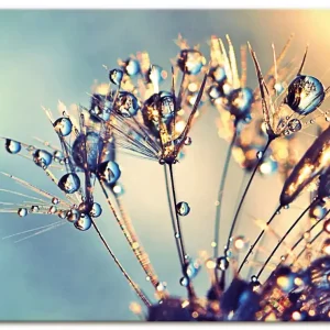 Beliebt Pusteblume Glitzertau F4CD Wandbild