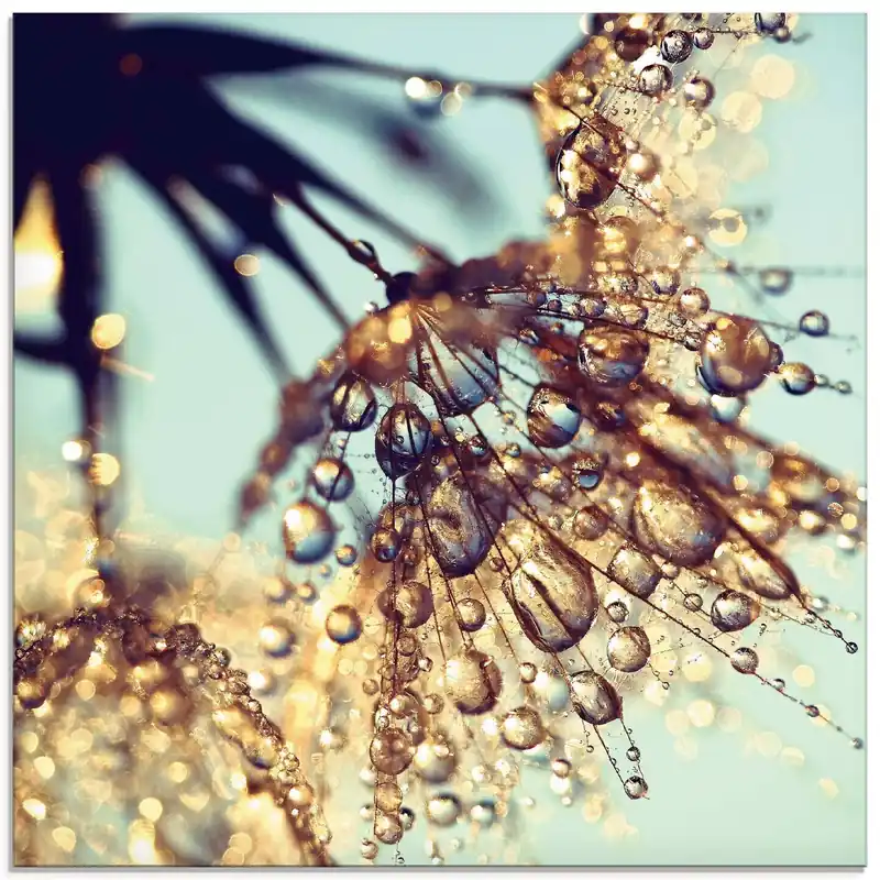Pusteblume Goldener Regen S9RM Wandbild Saisonangebot