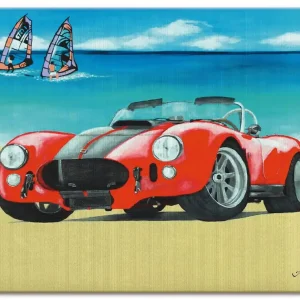 Direkt Vom Hersteller Cobra Shelby 1962 Q5TF Wandbild