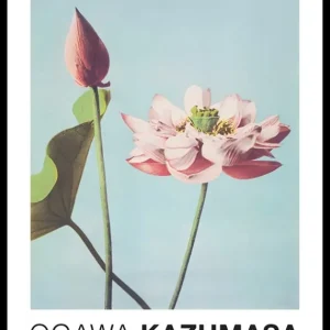 Aktuell Lotus Flowers By Ogawa Kazumasa Poster