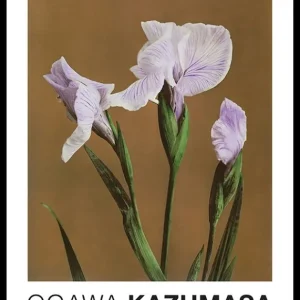 Schneller Versand Iris Kæmpferi By Kazumasa Ogawa Poster