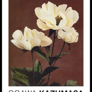 Rabatt Hærdaceous Peony By Kazumasa Ogawa Poster