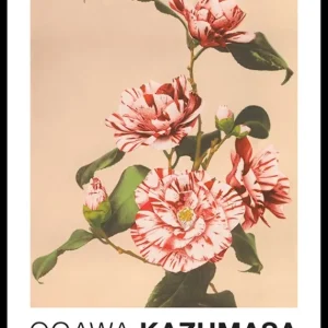 Sonderaktion Striped Camellias by Ogawa Kazumasa Poster