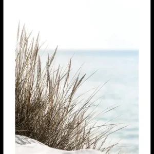 Grass At Beach Poster Preis Gesenkt