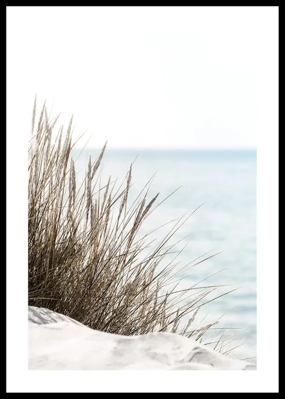 Grass At Beach Poster Preis Gesenkt