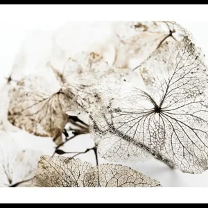 Dried Leaf Poster Geprüft