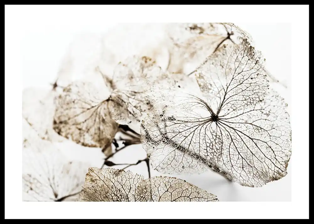 Dried Leaf Poster Geprüft