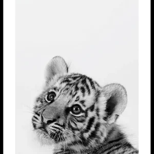 Tiger Cub Poster Nur Heute