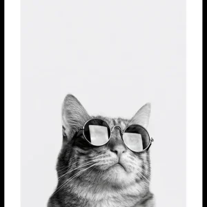 Kostenfreie Lieferung Cat With Shades Poster