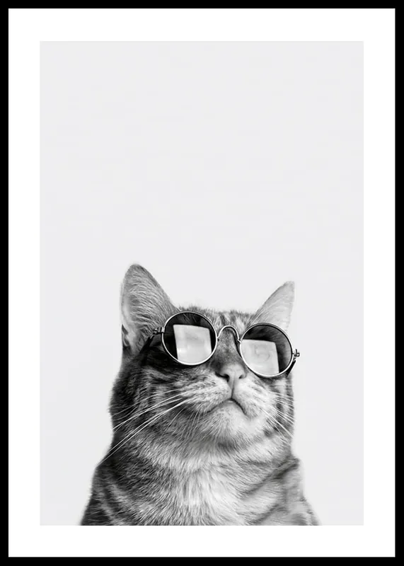 Kostenfreie Lieferung Cat With Shades Poster