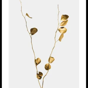 Eucalyptus Gold No1 Poster Bestpreis
