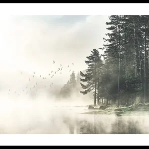 Sichere Zahlung Birds In Nature Poster
