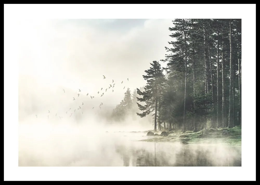 Sichere Zahlung Birds In Nature Poster