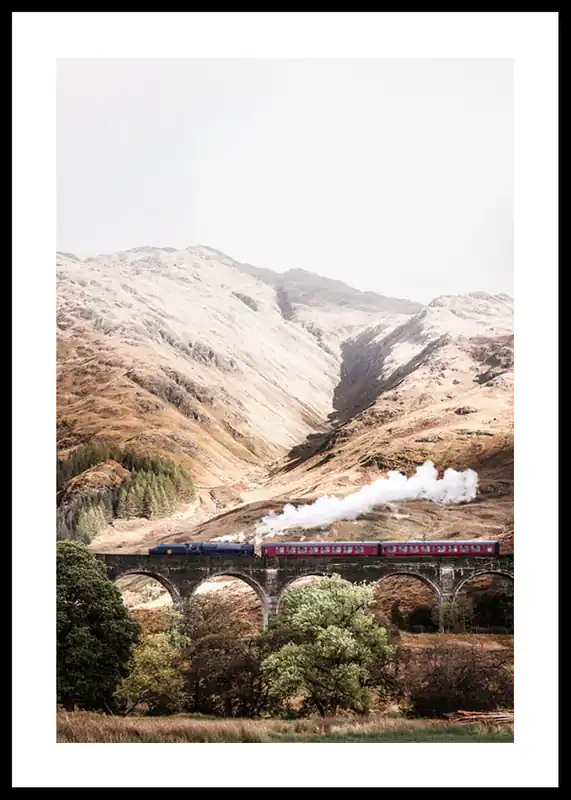 Steam Train Poster Sofort Bestellen