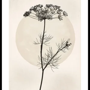 Neuheit Dried Flower Silhouette Poster