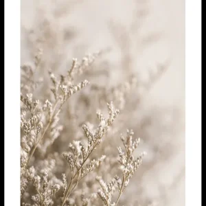Dried Plants No5 Poster Highlight
