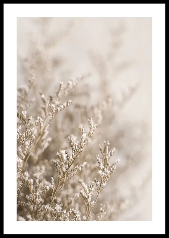 Dried Plants No5 Poster Highlight