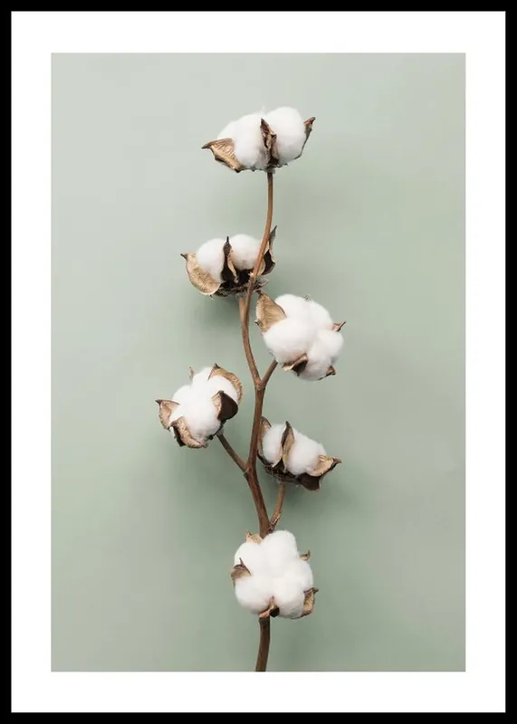 Cotton On Green Poster Must-Have