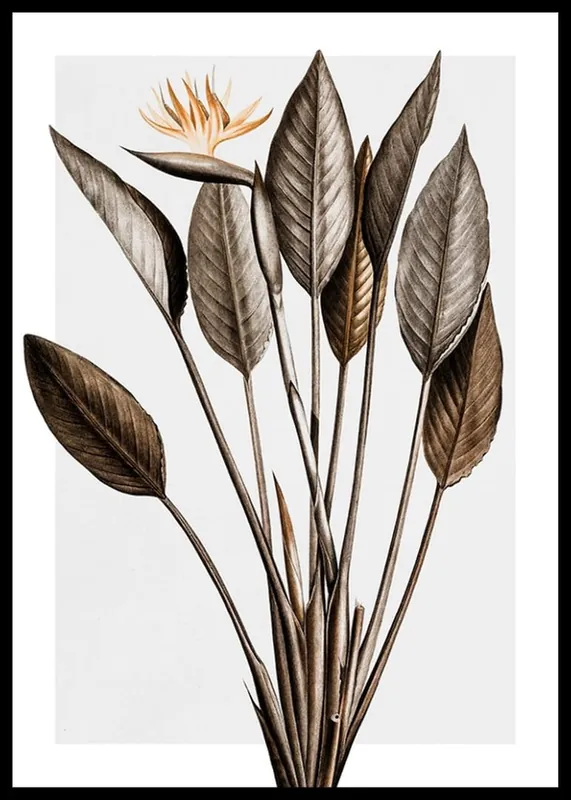Bird Of Paradise Poster Ausverkauf