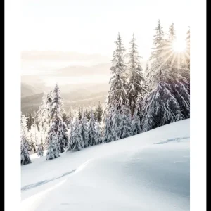 Winter Mountain Morning Poster Jetzt Bestellen