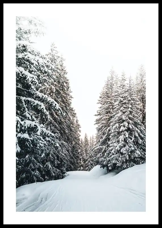Snow Covered Road Poster Solange Der Vorrat Reicht