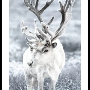 Must-Have Reindeer Poster