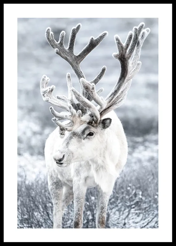 Must-Have Reindeer Poster