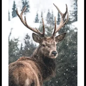 Online Kaufen Winter Landscape Deer Poster
