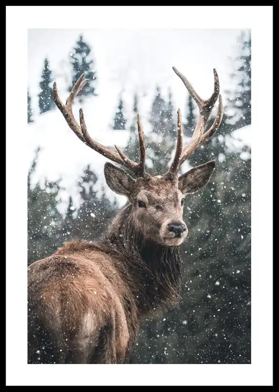 Online Kaufen Winter Landscape Deer Poster