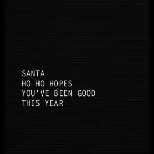 Santa Ho Ho Hopes Poster Expressversand