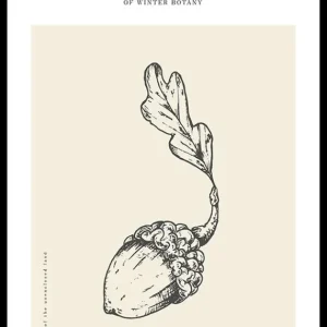 Preisknaller Winter Botany No1 Poster