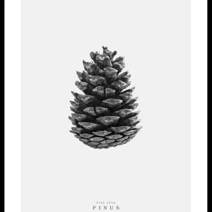 Mega-Angebot Winter Botany No2 Poster