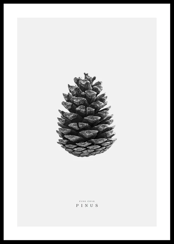 Mega-Angebot Winter Botany No2 Poster