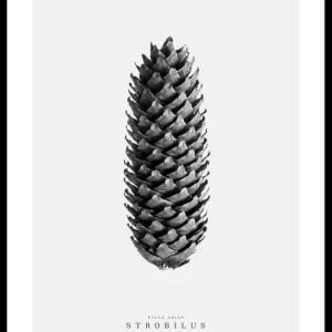 Preis Gesenkt Winter Botany No3 Poster