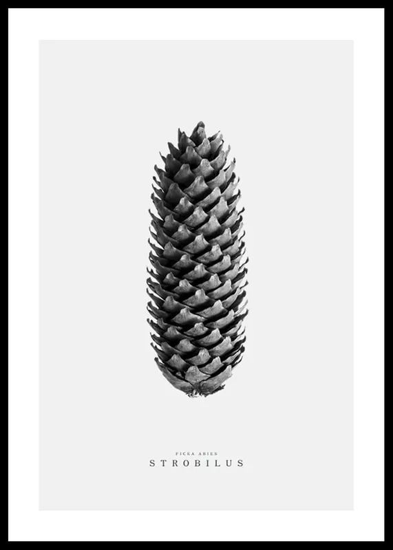 Preis Gesenkt Winter Botany No3 Poster