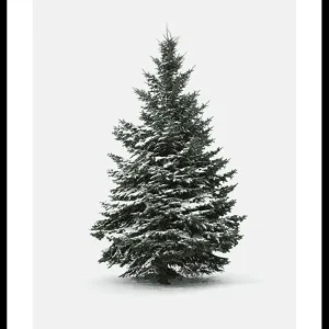 Winter Botany No4 Poster Top-Seller