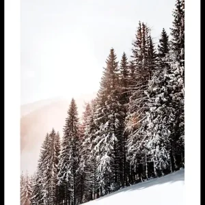 Wochenendangebot Snow Covered Trees Poster