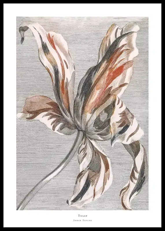 Versand Am Gleichen Tag Tulip By Johan Teyler Poster