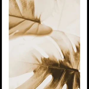 Kracherpreis Golden Monstera Leaves Poster
