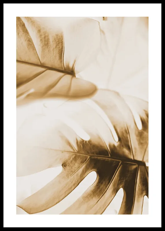 Kracherpreis Golden Monstera Leaves Poster