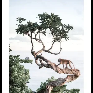 Kostenloser Versand Monkey In Tree Poster