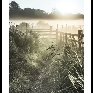 Markenprodukt Sunrise Over Countryside Poster