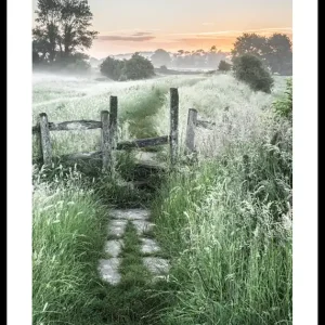 Summer Sunrise Poster Markenprodukt