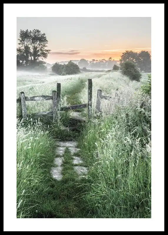 Summer Sunrise Poster Markenprodukt