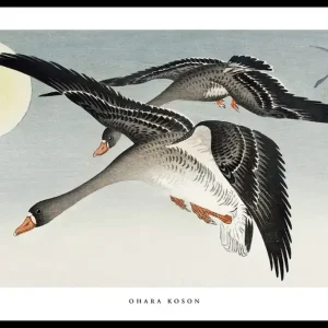 Bestpreis Birds At Full Moon By Ohara Koson Poster