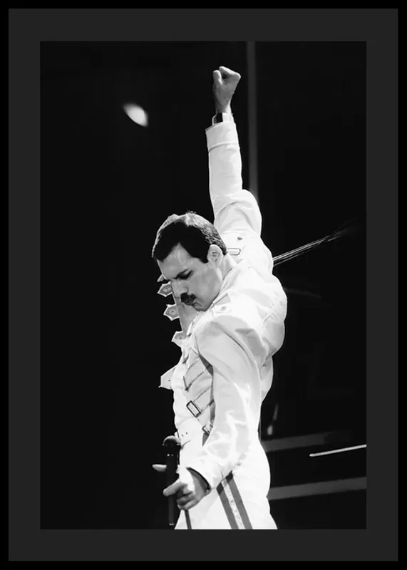 Kostenloser Versand Freddie Mercury Poster